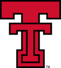 Texas Tech Hair Accessories