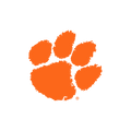 Clemson University Hair Accessories