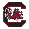 University of South Carolina Hair Accessories