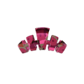 Classic Garden Glam Tiny Claw Clip
                in Pink - Tiny
            