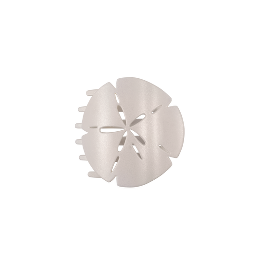 Sand Dollar Medium Flat Hair Clip
                in White - Medium
              