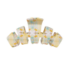 Classic Siesta Medium Claw Clip
