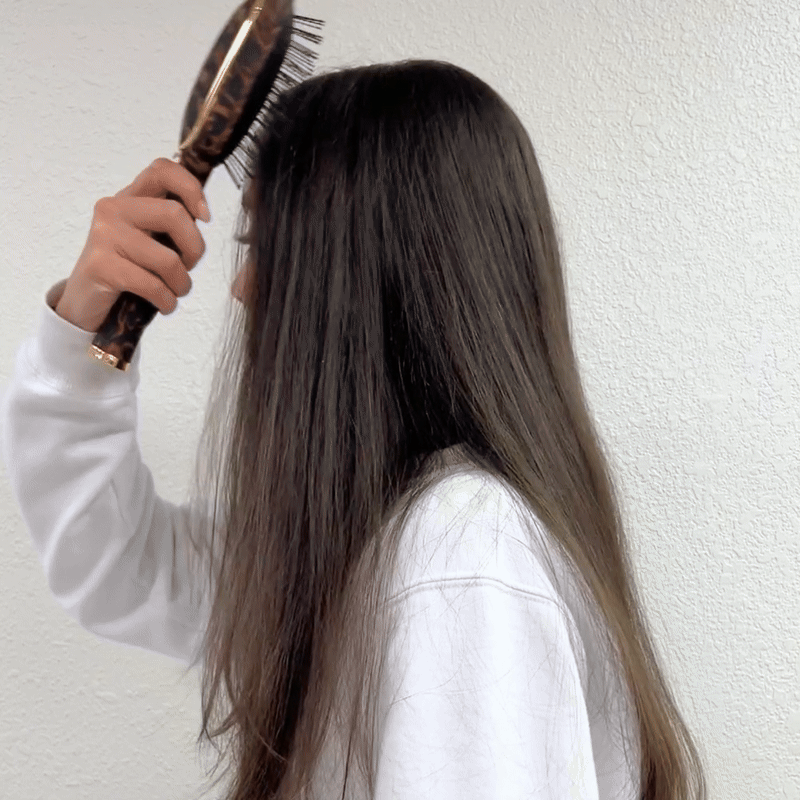 Detangler Hair Brush for Fine Hair – Tortoise
