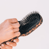 Boar Bristle Hair Brush - Tortoise - Hairbrush - TELETIES
