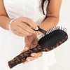 Detangler Hair Brush for Medium Hair – Tortoise - Hairbrush - TELETIES
