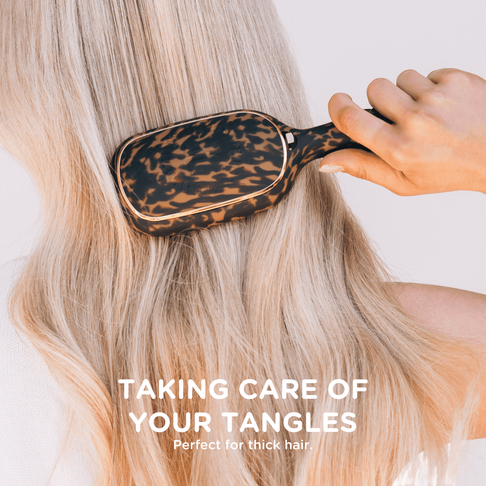 Detangler Hair Brush for Thick Hair – Tortoise - Hairbrush - TELETIES
