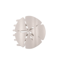 Sand Dollar Large Flat Hair Clip
                in White - Large
            