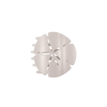 Sand Dollar Medium Flat Hair Clip
                in White - Medium
            