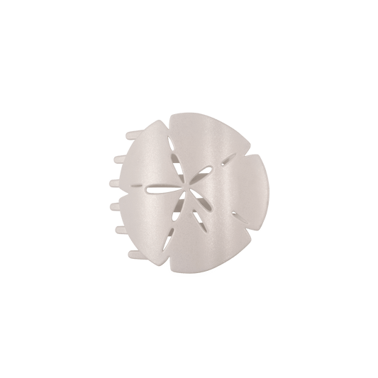 Sand Dollar Medium Flat Hair Clip
                in White - Medium
              