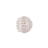 Sand Dollar Small Flat Hair Clip - Hair Clips - TELETIES

