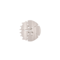 Sand Dollar Small Flat Hair Clip
                in White - Small
            