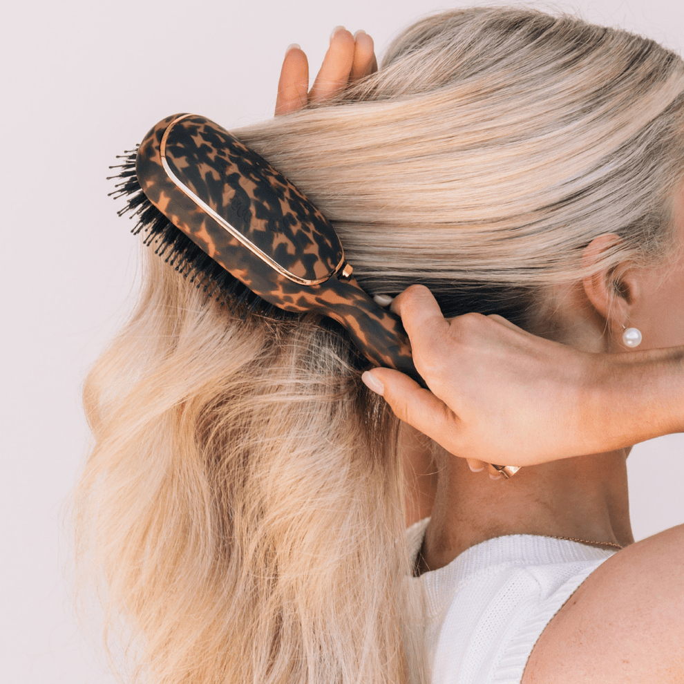 Tortoise Hair Brush Bundle - TELETIES
